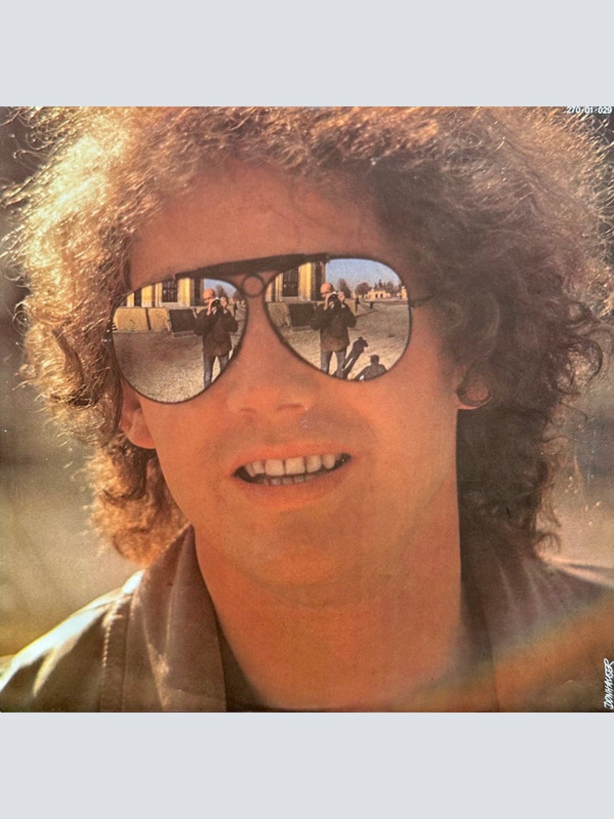 Vinyl / W. Ambros* - 1973-1983 Seine Größten Erfolge