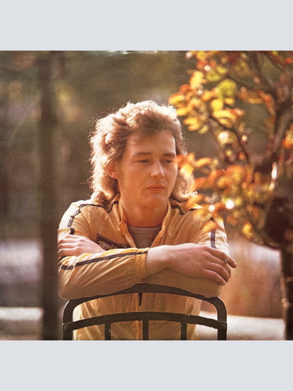 Vinyl / W. Ambros* - 1973-1983 Seine Größten Erfolge