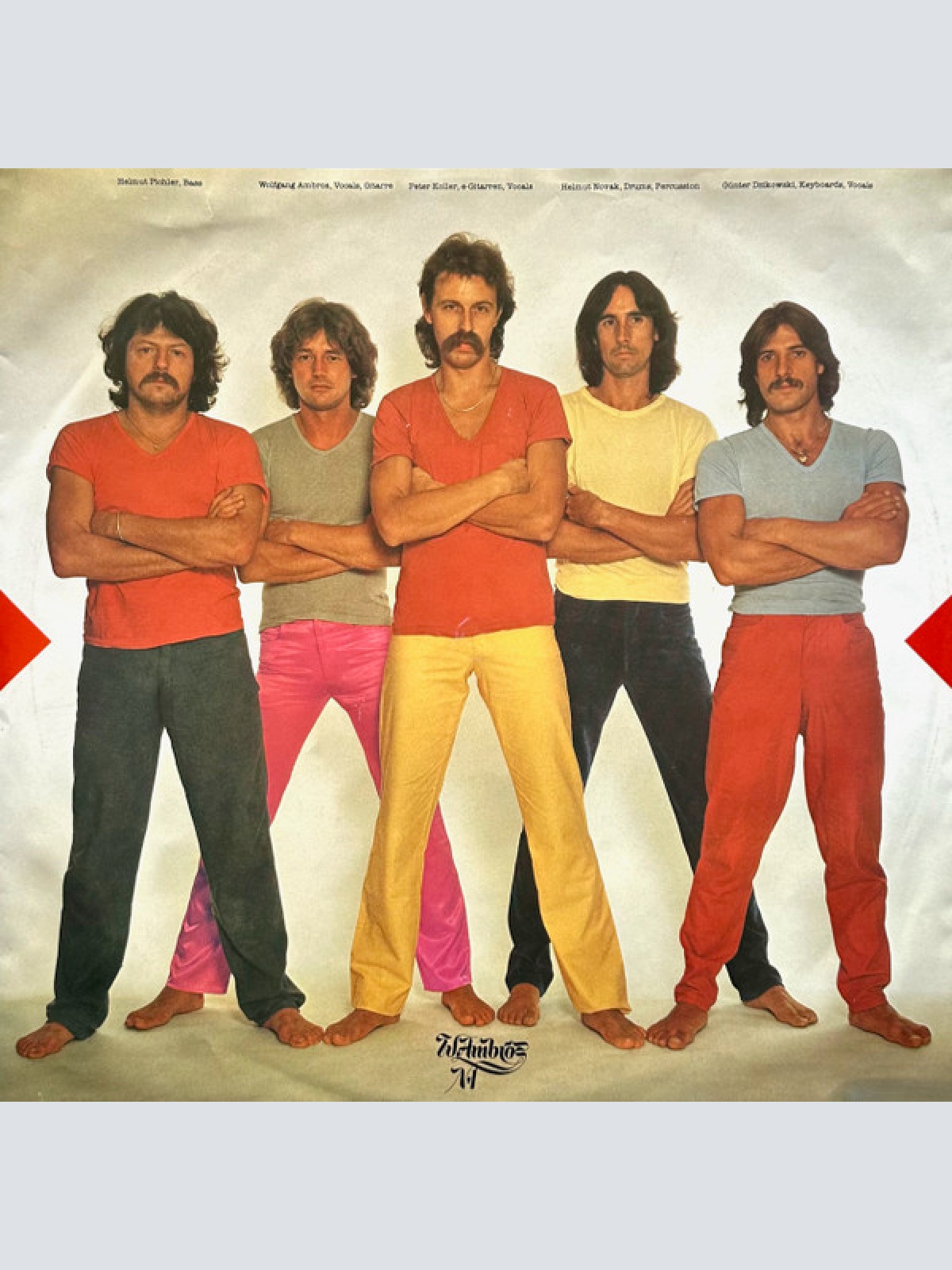 Vinyl / W. Ambros* - 1973-1983 Seine Größten Erfolge