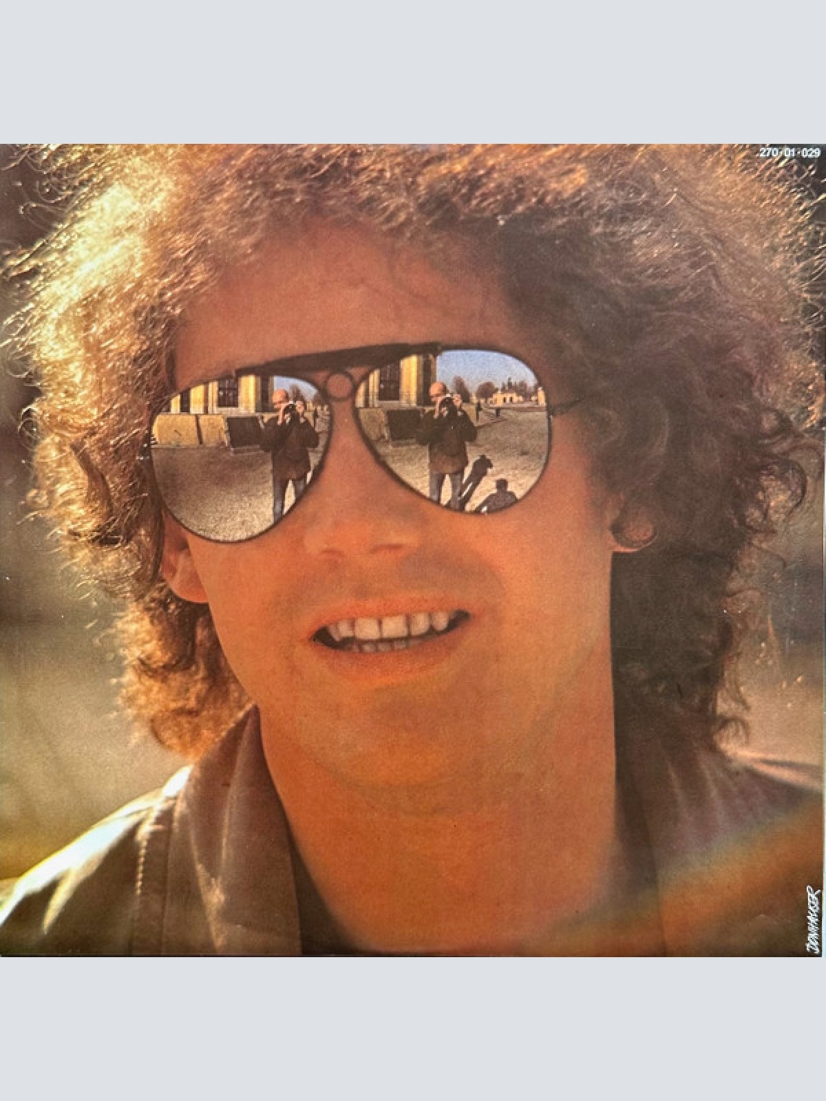 Vinyl / W. Ambros* - 1973-1983 Seine Größten Erfolge