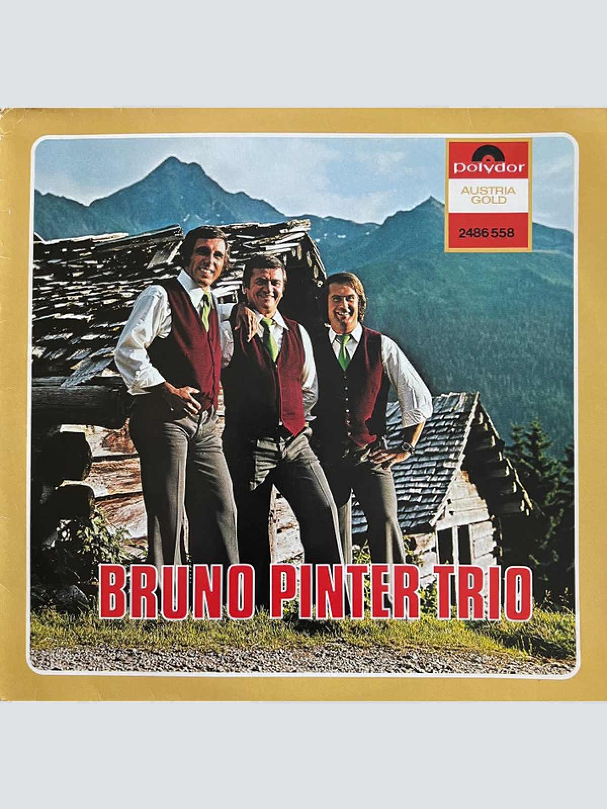 Vinyl / Bruno Pinter Trio - Bruno Pinter Trio
