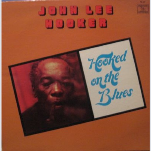 Vinyl / John Lee Hooker - Hooked On The Blues
