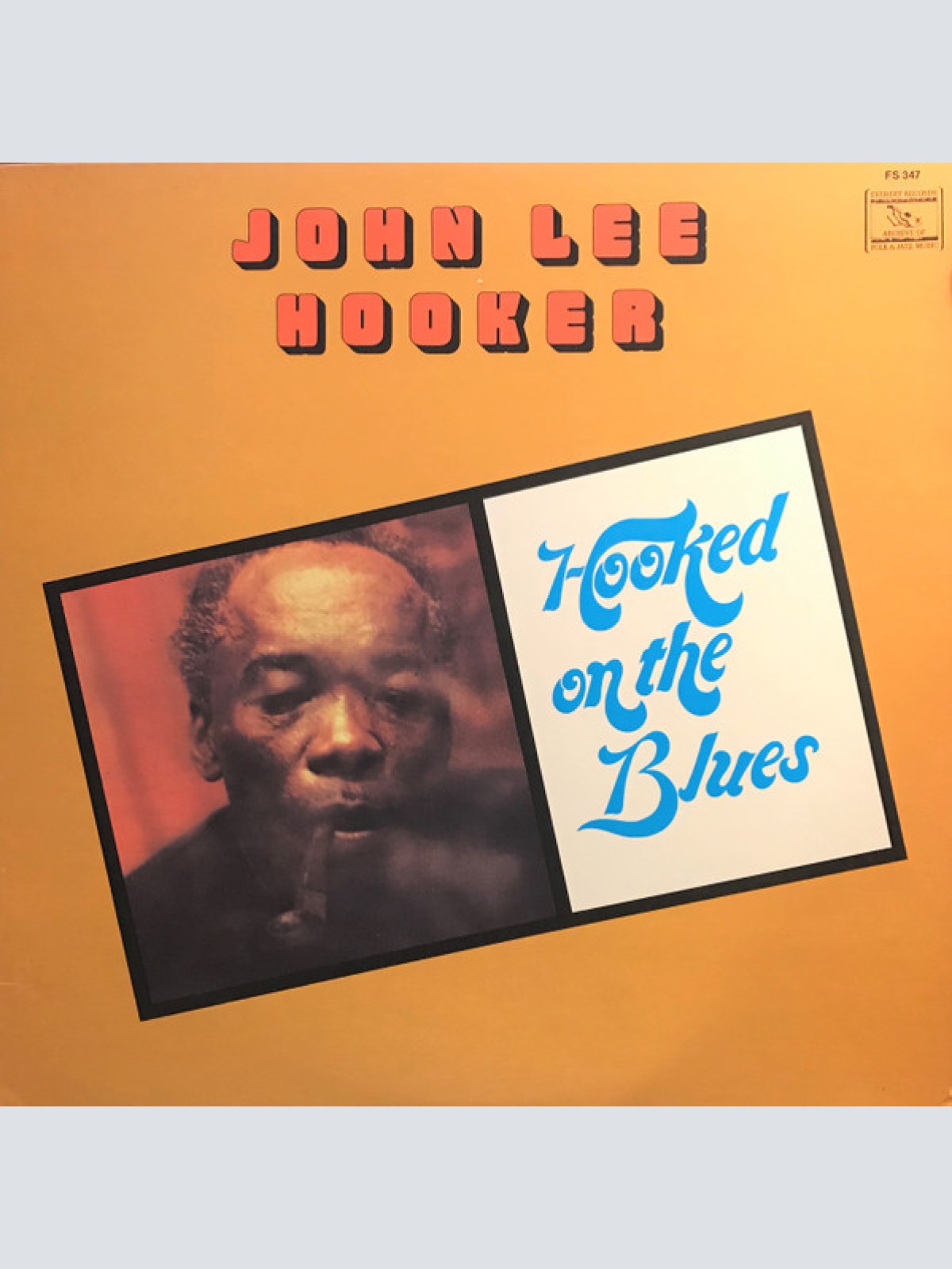 Vinyl / John Lee Hooker - Hooked On The Blues