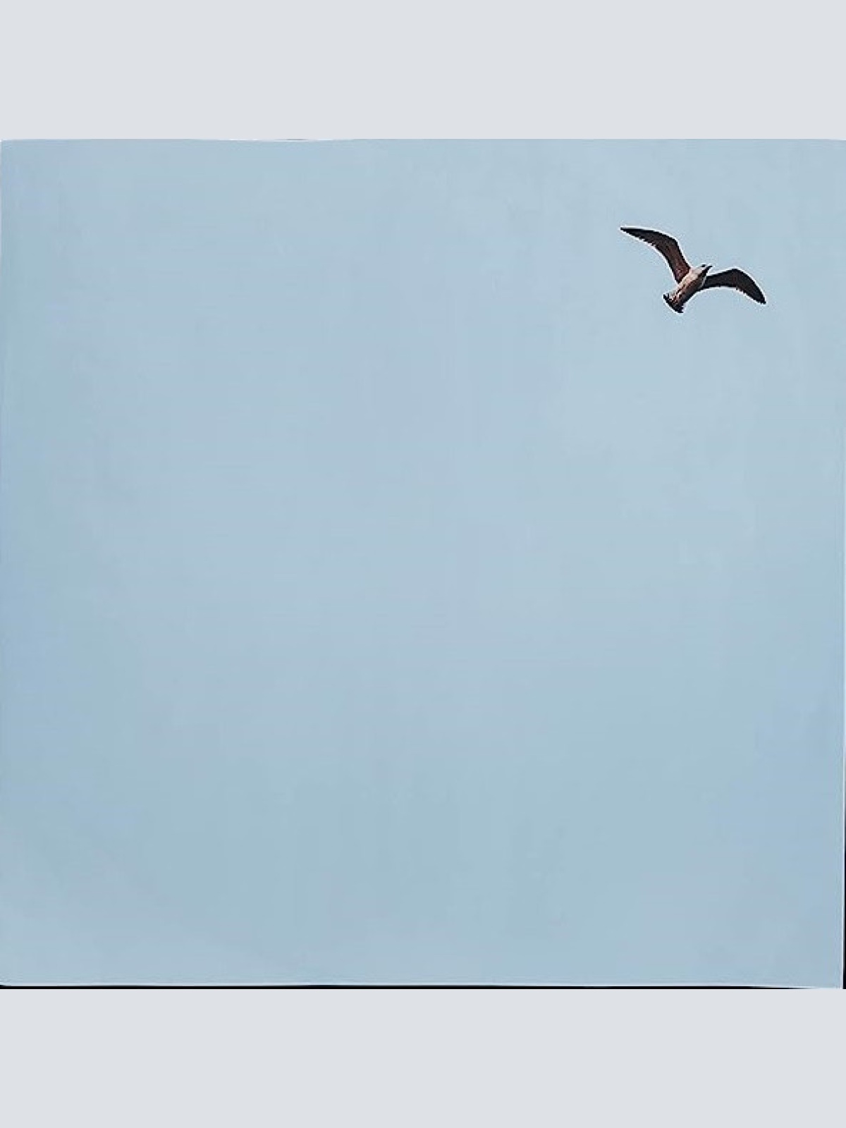 Vinyl / Herbert Grönemeyer - Das Ist Los