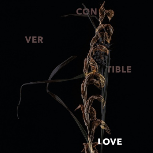 Vinyl / Convertible - Love