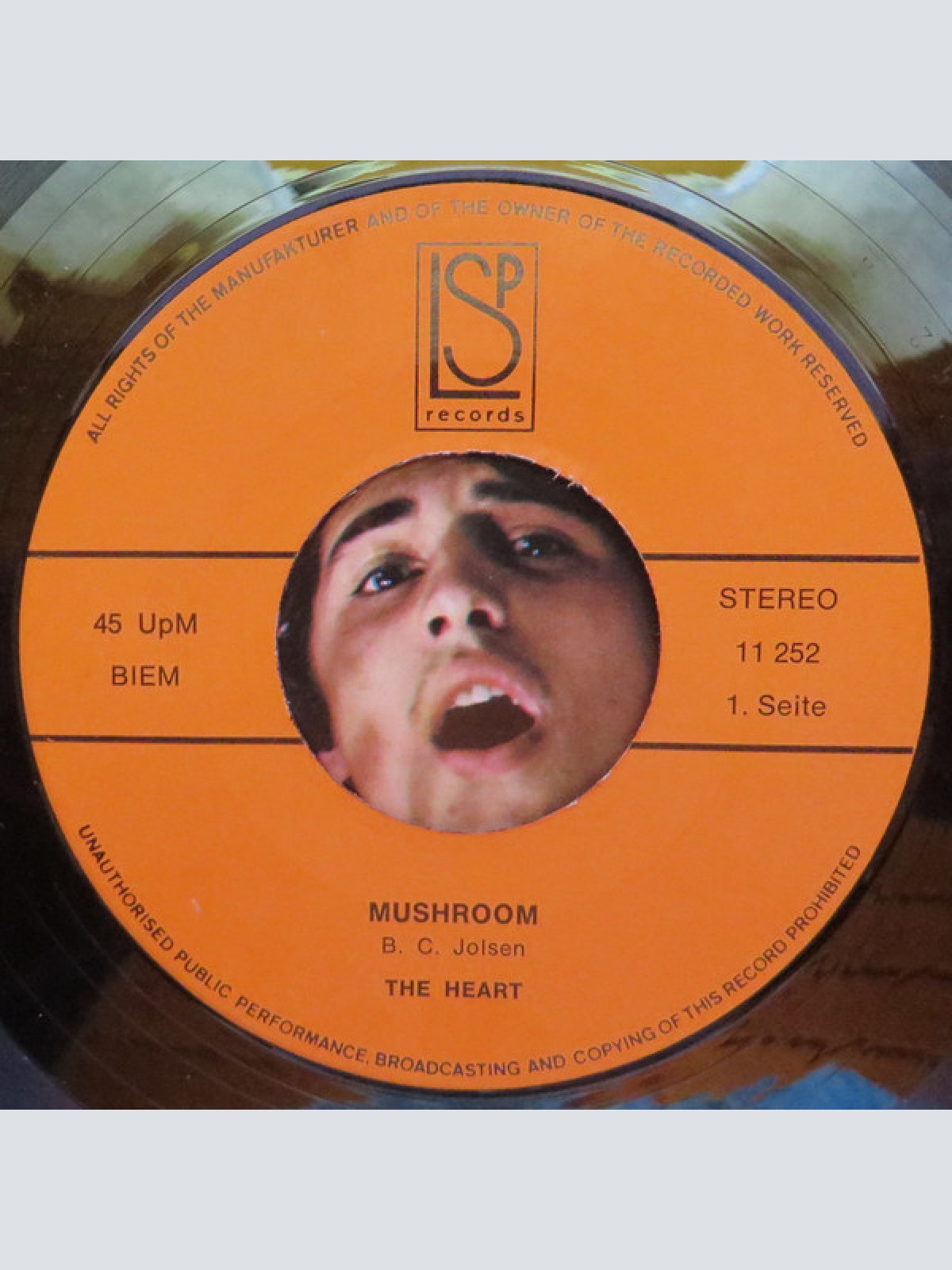 Vinyl / The Heart (6) - Mushroom