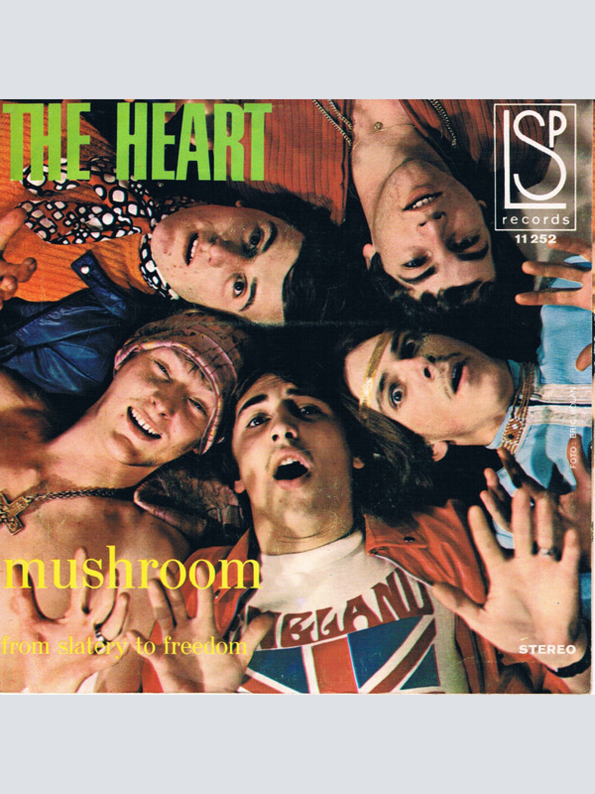 Vinyl / The Heart (6) - Mushroom