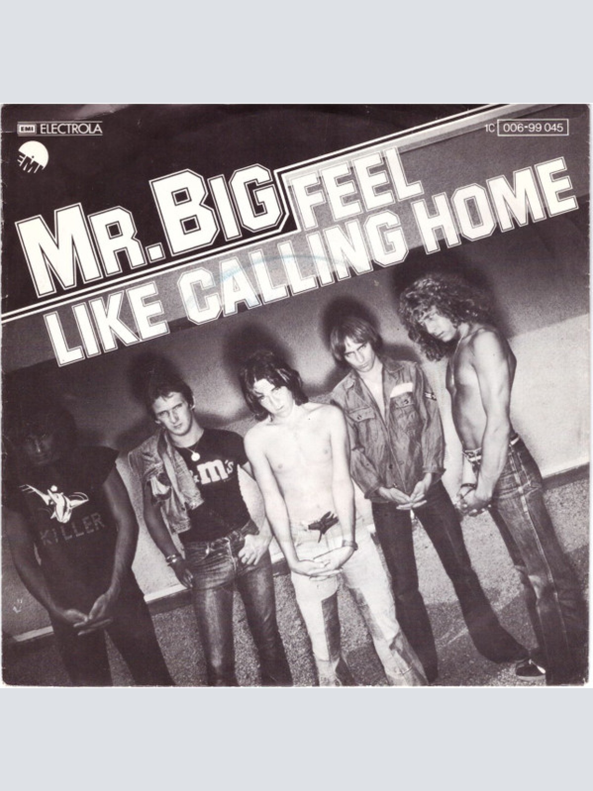 Vinyl / Mr Big - Feel Like Calling Home