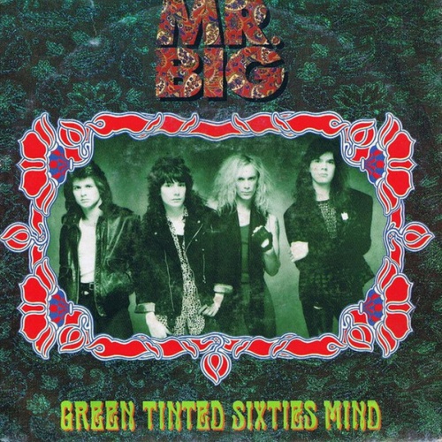 Vinyl / Mr. Big - Green Tinted Sixties Mind