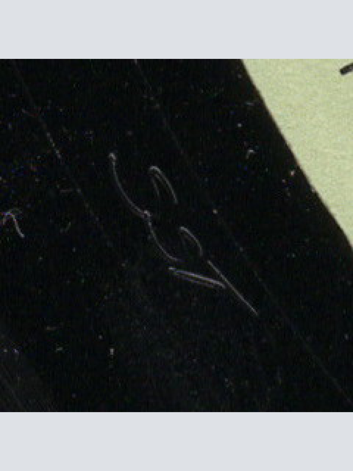 Vinyl / General Meating & Kay - HR3 Zitter Zitter Mega Mix