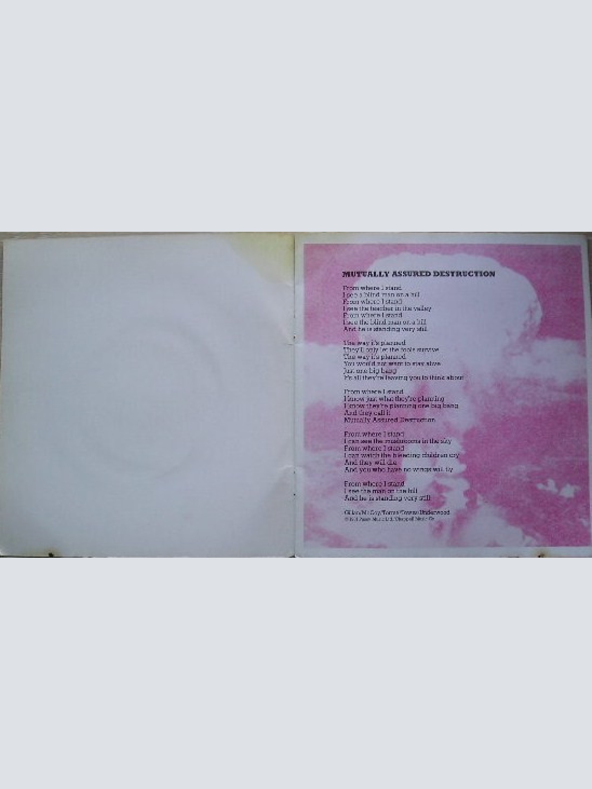 Vinyl / Gillan - Mutually Assured Destruction