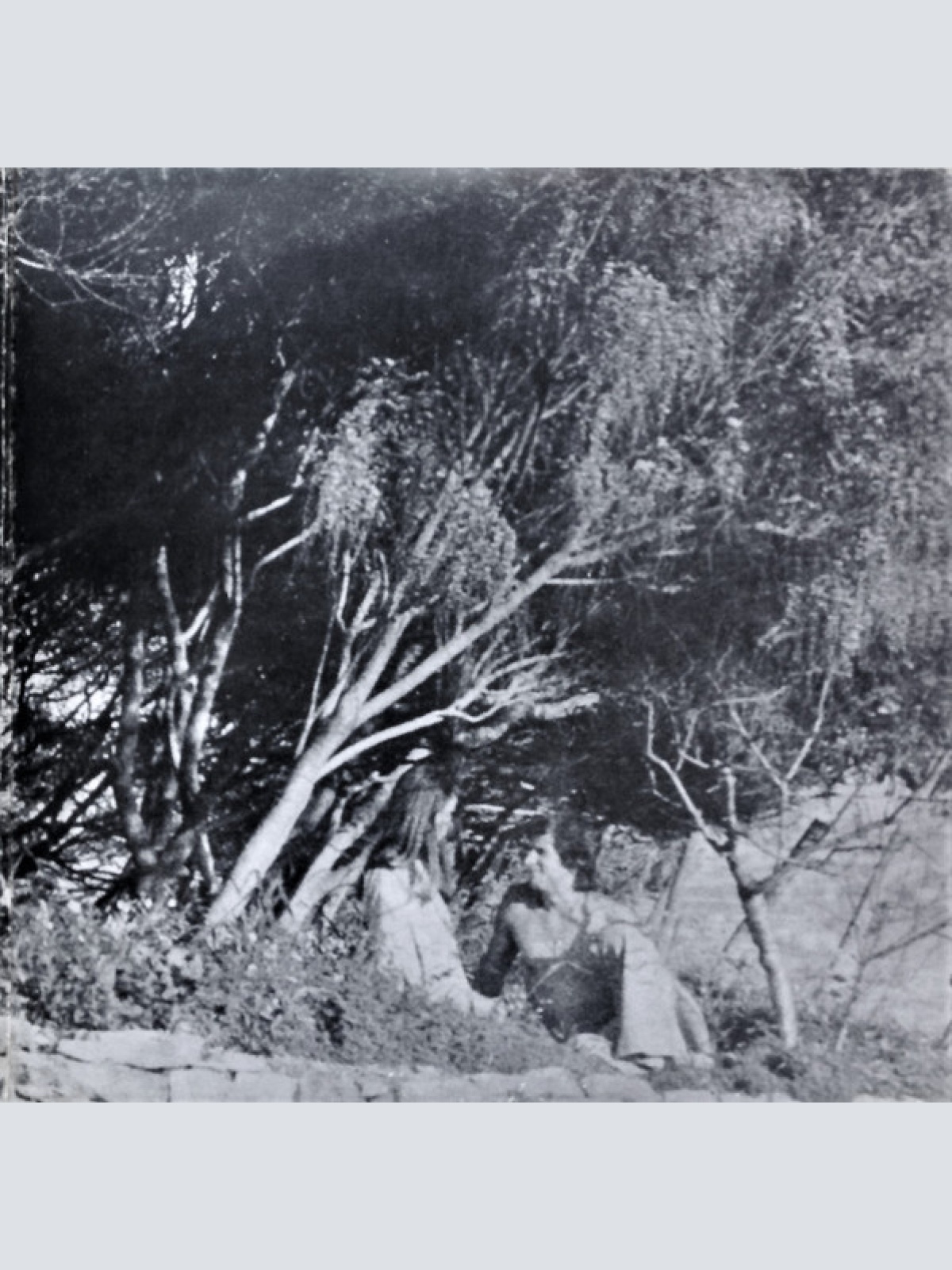 Vinyl / Sandro Giacobbe - Il Giardino Proibito