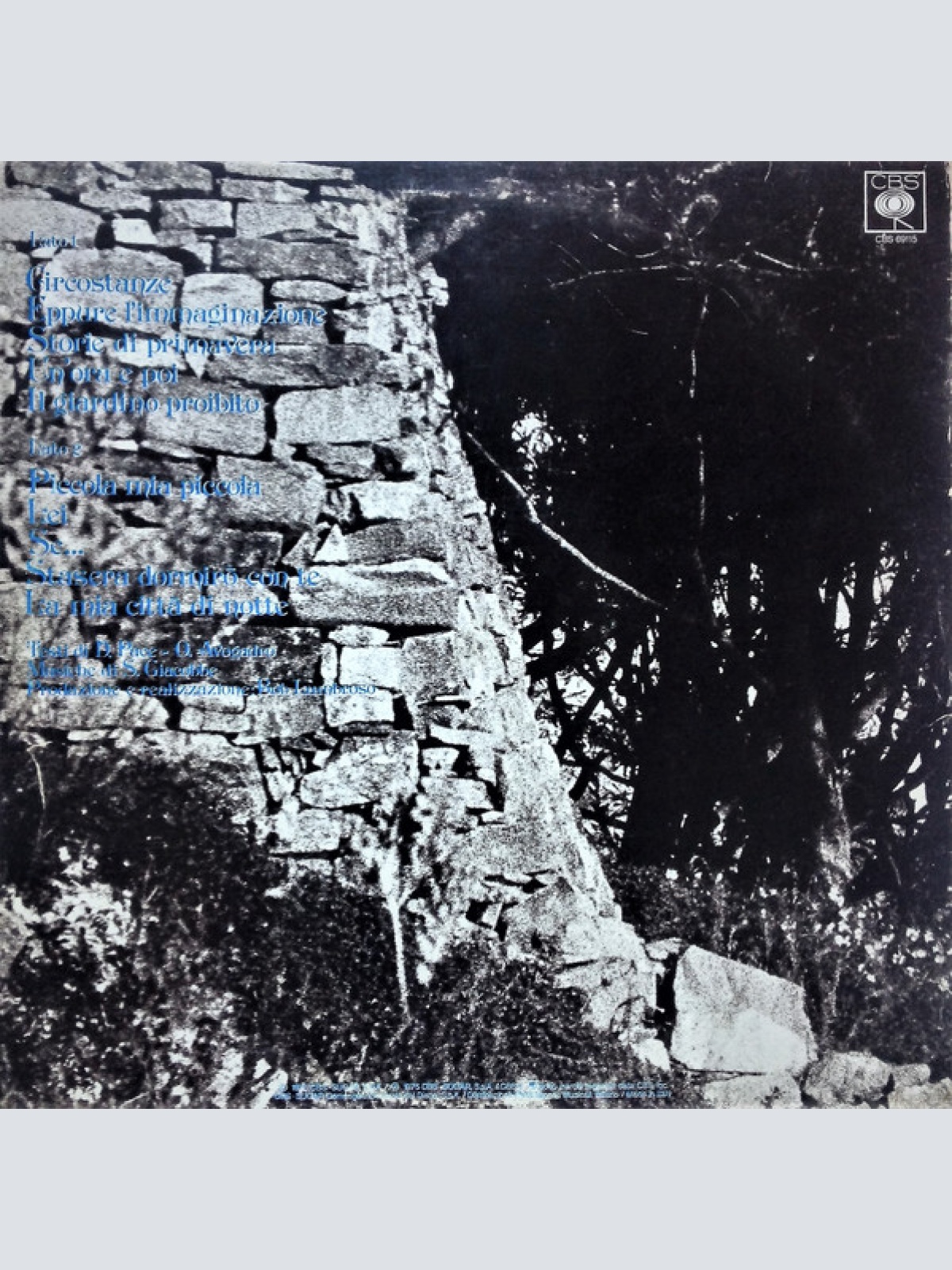 Vinyl / Sandro Giacobbe - Il Giardino Proibito