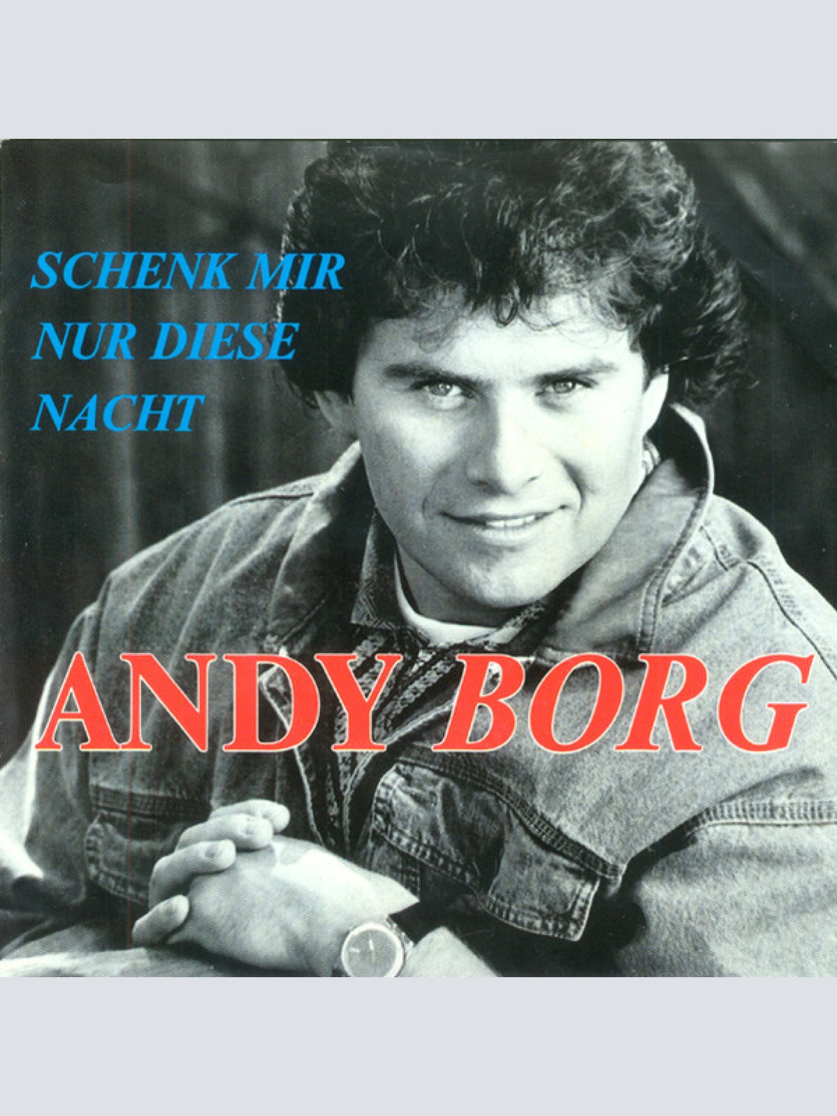 Vinyl / Andy Borg - Schenk Mir Nur Diese Nacht