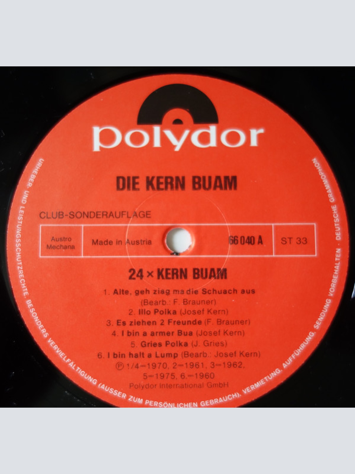 Vinyl / Die Kern Buam - 24 x Die Kern-Buam