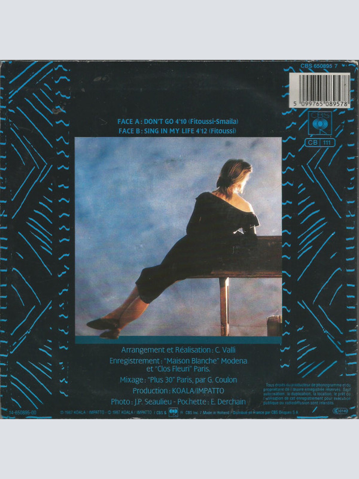 Vinyl / F.R. David - Don't Go