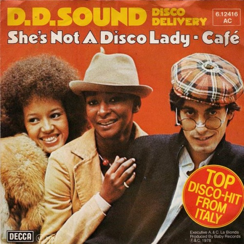 Vinyl / D.D.Sound Disco Delivery* - She's Not A Disco Lady / Café