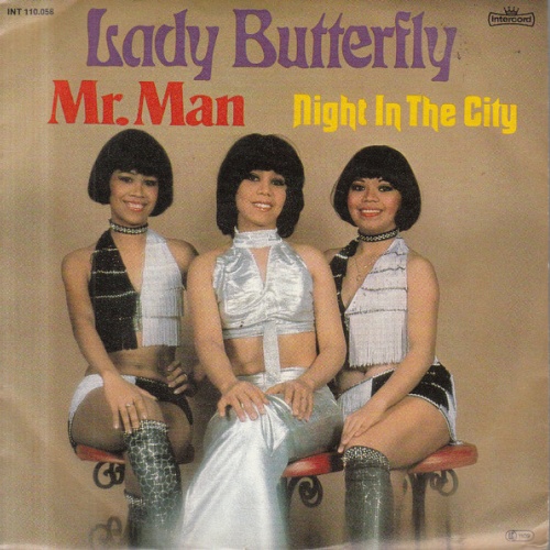 Vinyl / Lady Butterfly - Mr. Man