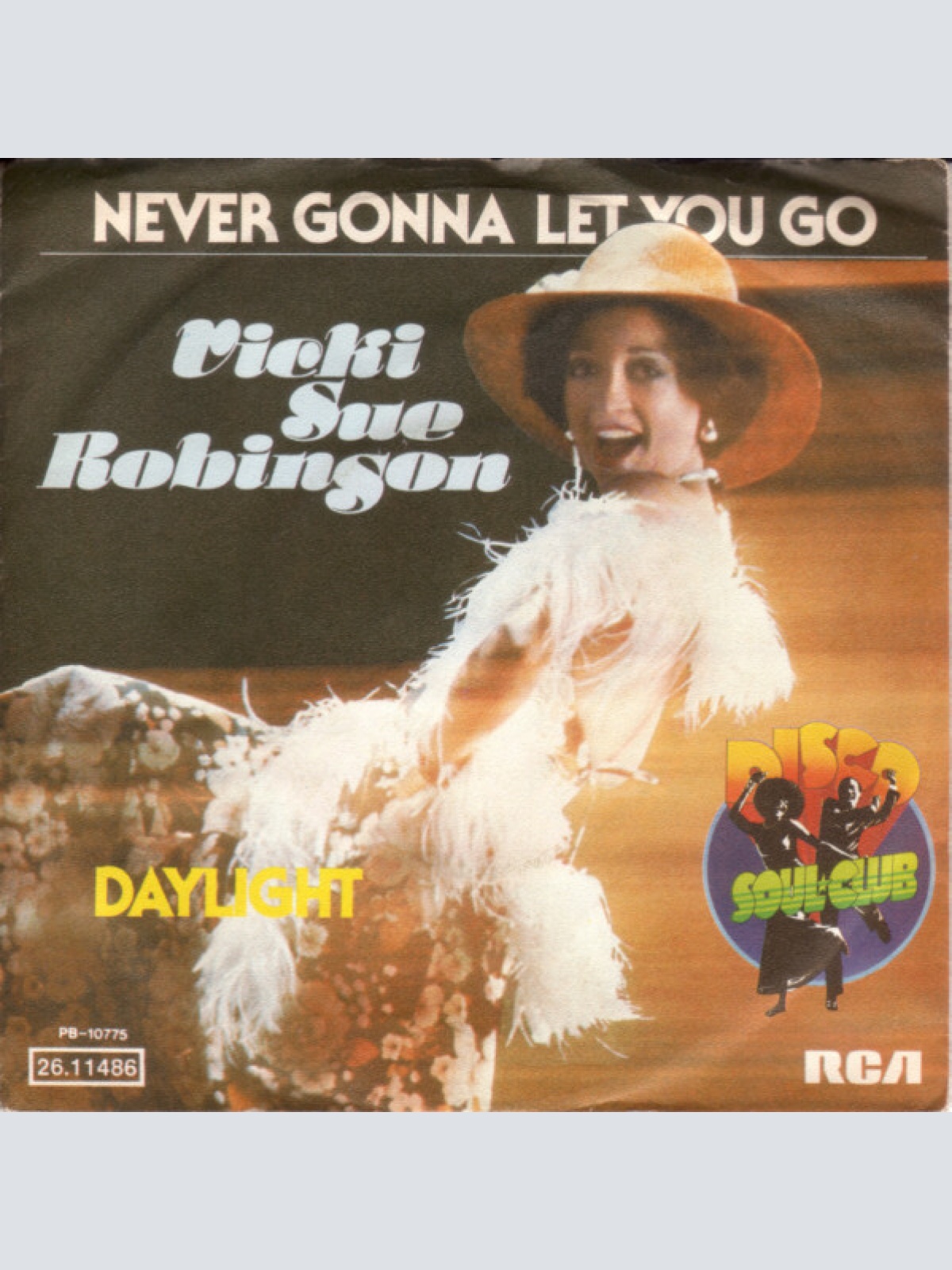 Vinyl / Vicki Sue Robinson - Never Gonna Let You Go
