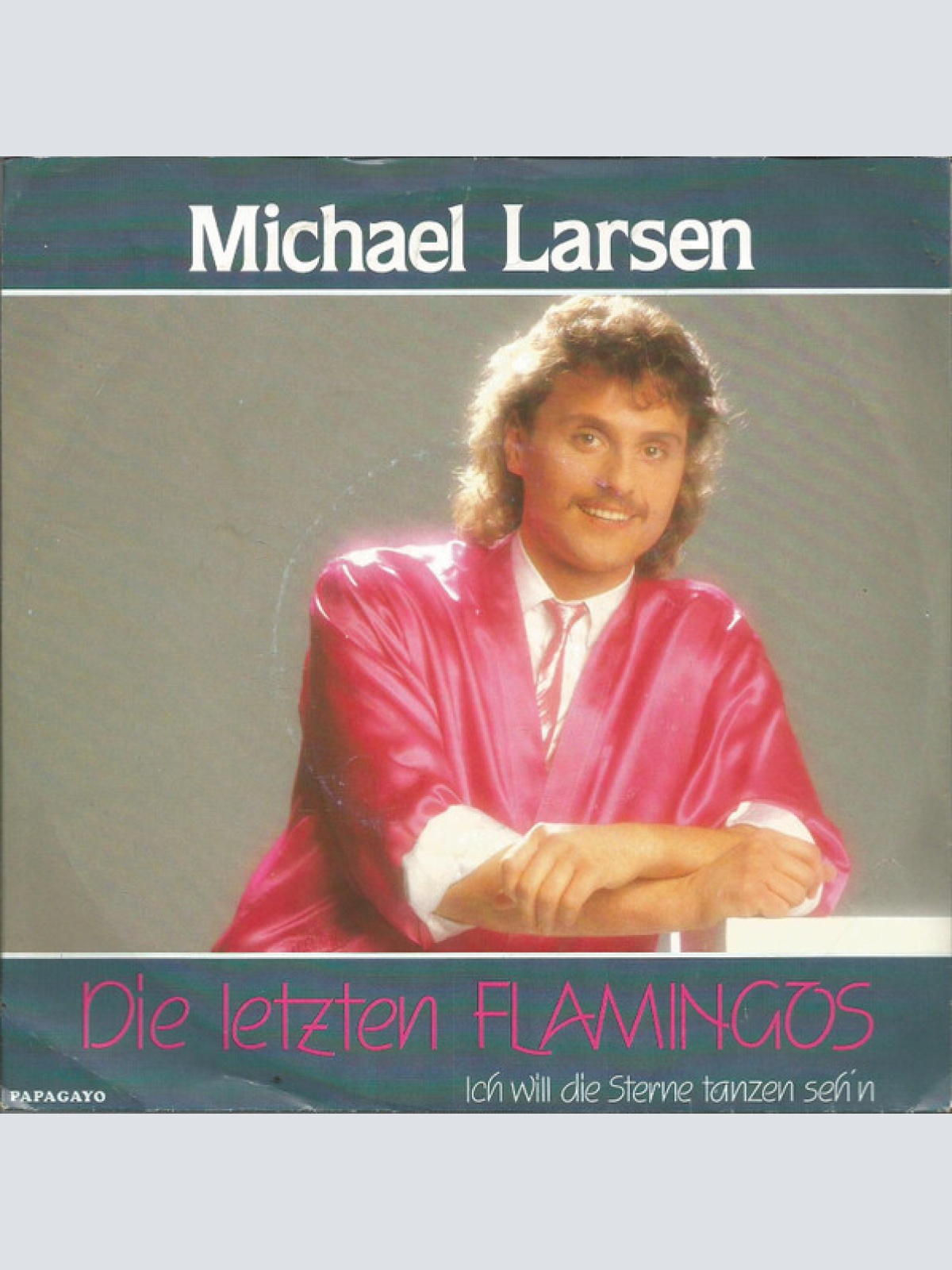 Vinyl / Michael Larsen (3) - Die Letzten Flamingos