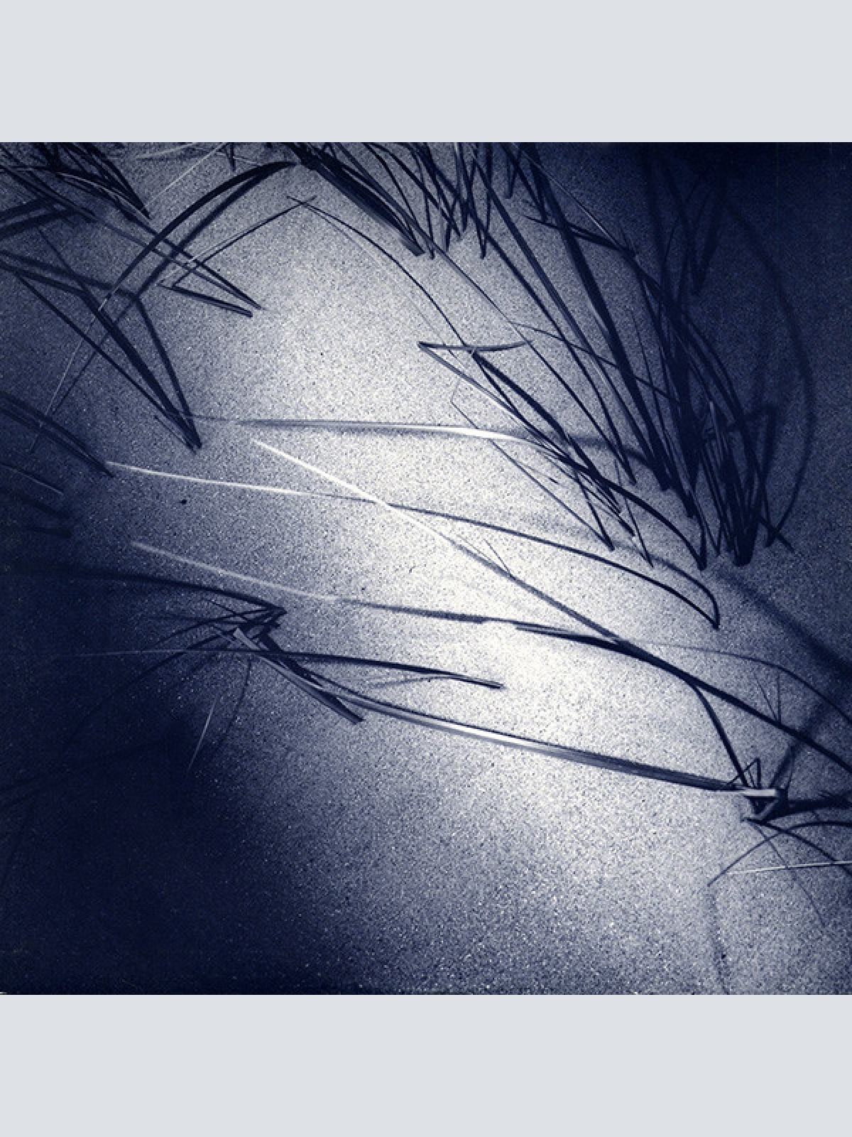 Vinyl / Harold Budd ▪ Elizabeth Fraser ▪ Robin Guthrie ▪ Simon Raymonde - The Moon And The Melodies