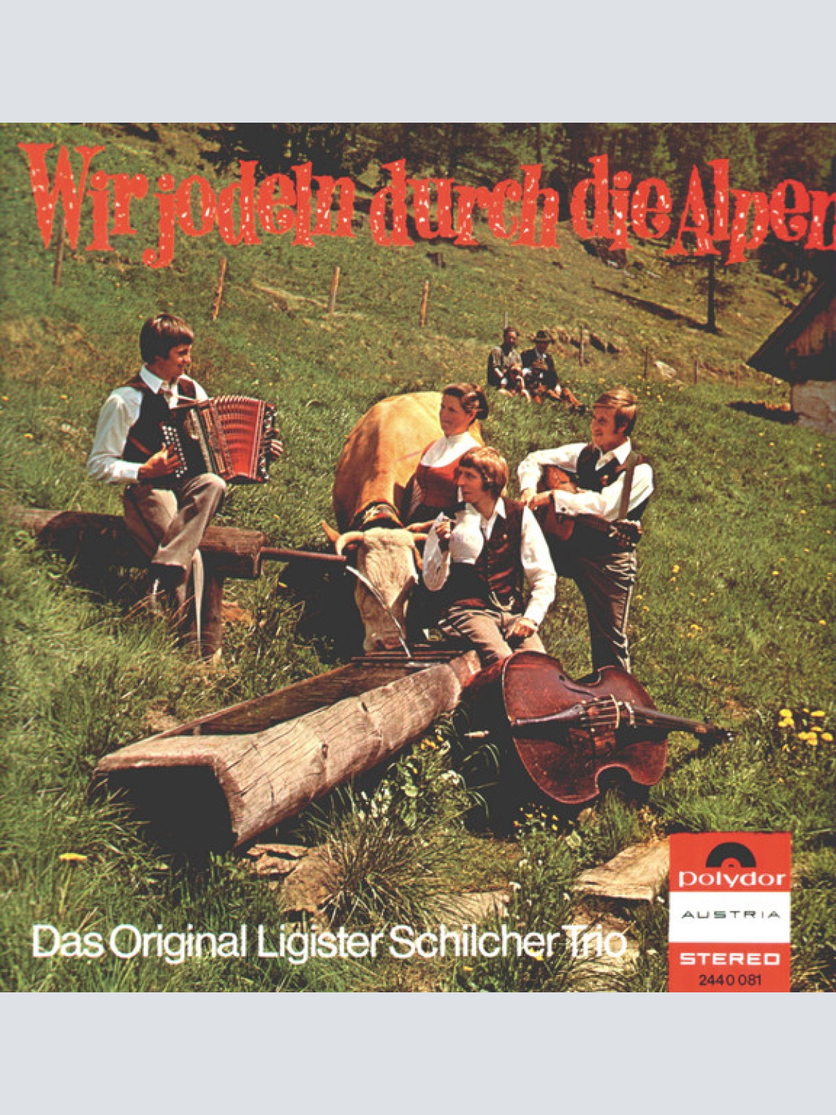 Vinyl / Das Original Ligister Schilcher Trio* - Wir Jodeln Durch Die Alpen