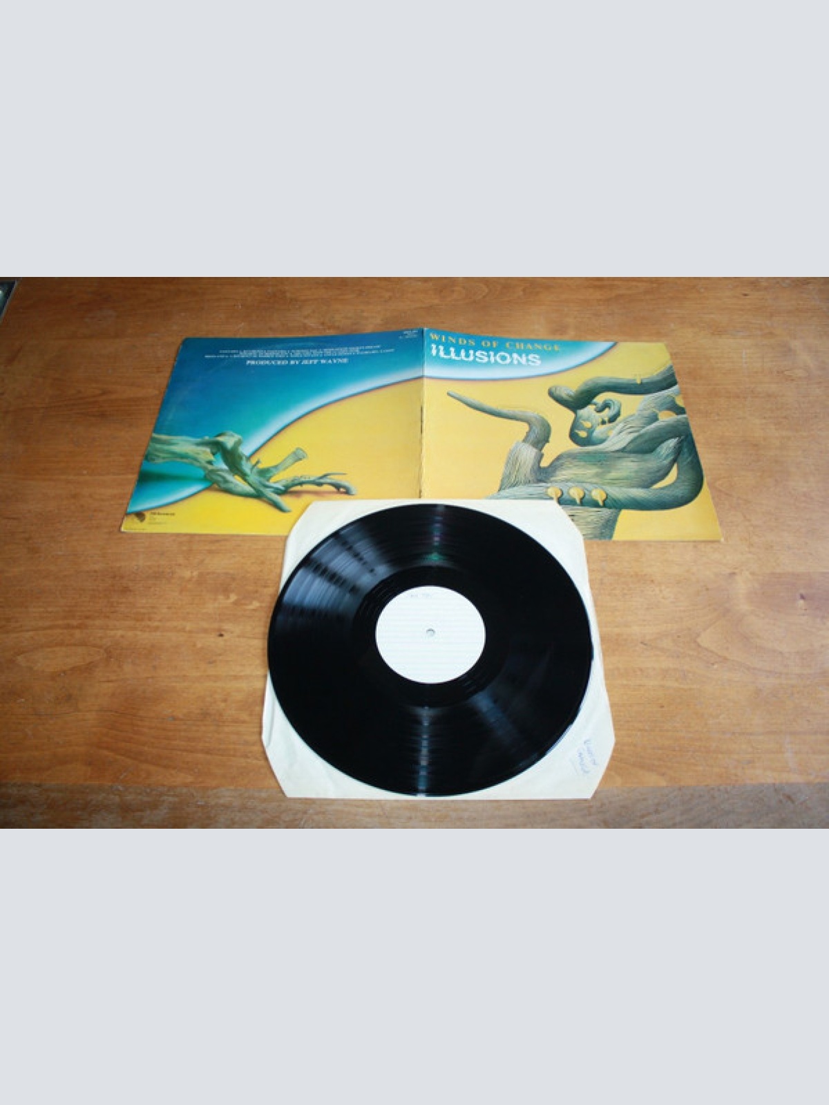 Vinyl / Winds Of Change - Illusions