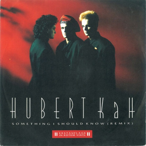 Vinyl / Hubert Kah - Something I Should Know (Remix)