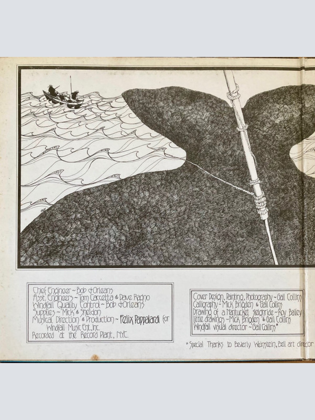 Vinyl / Mountain - Nantucket Sleighride