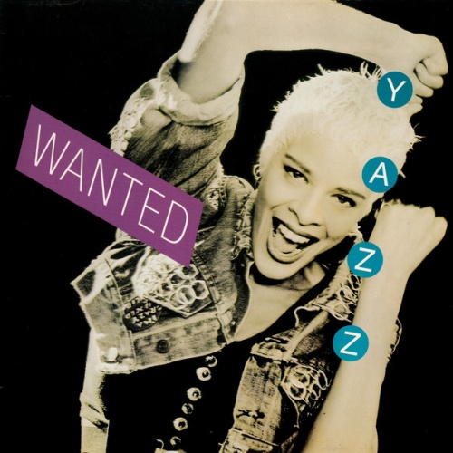 Vinyl / Yazz - Wanted