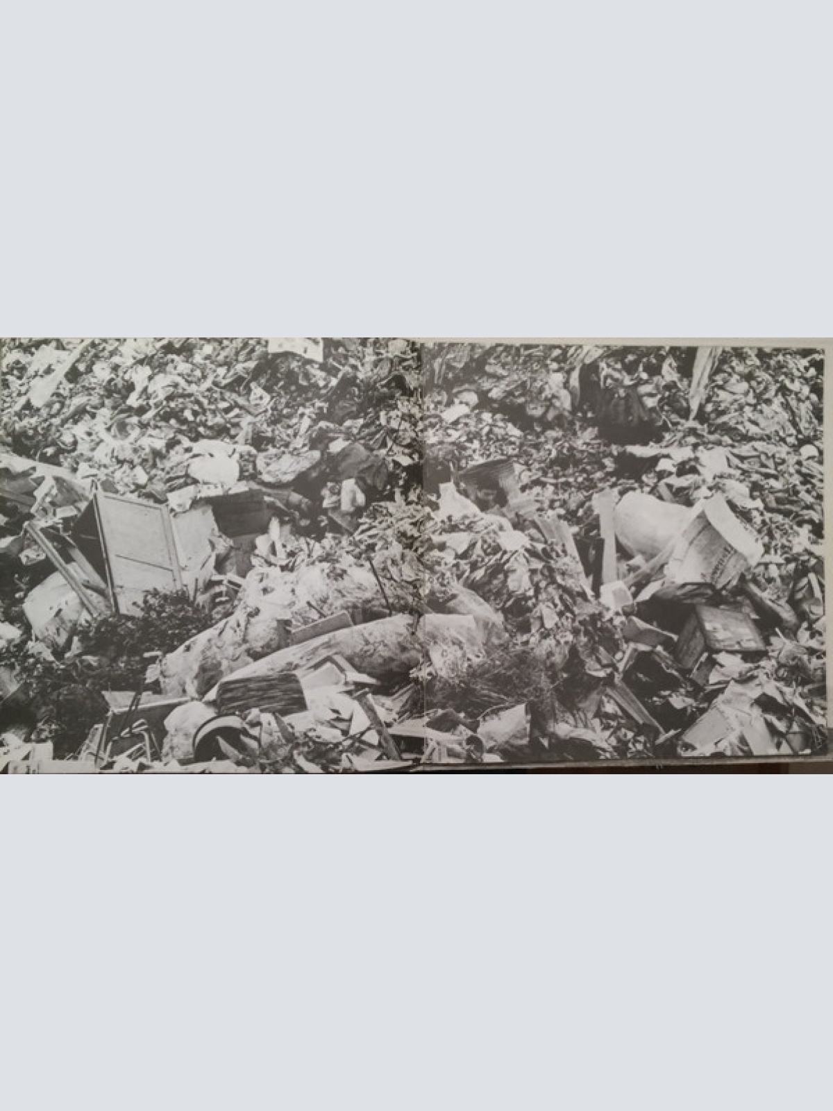 Vinyl / The Who - Quadrophenia