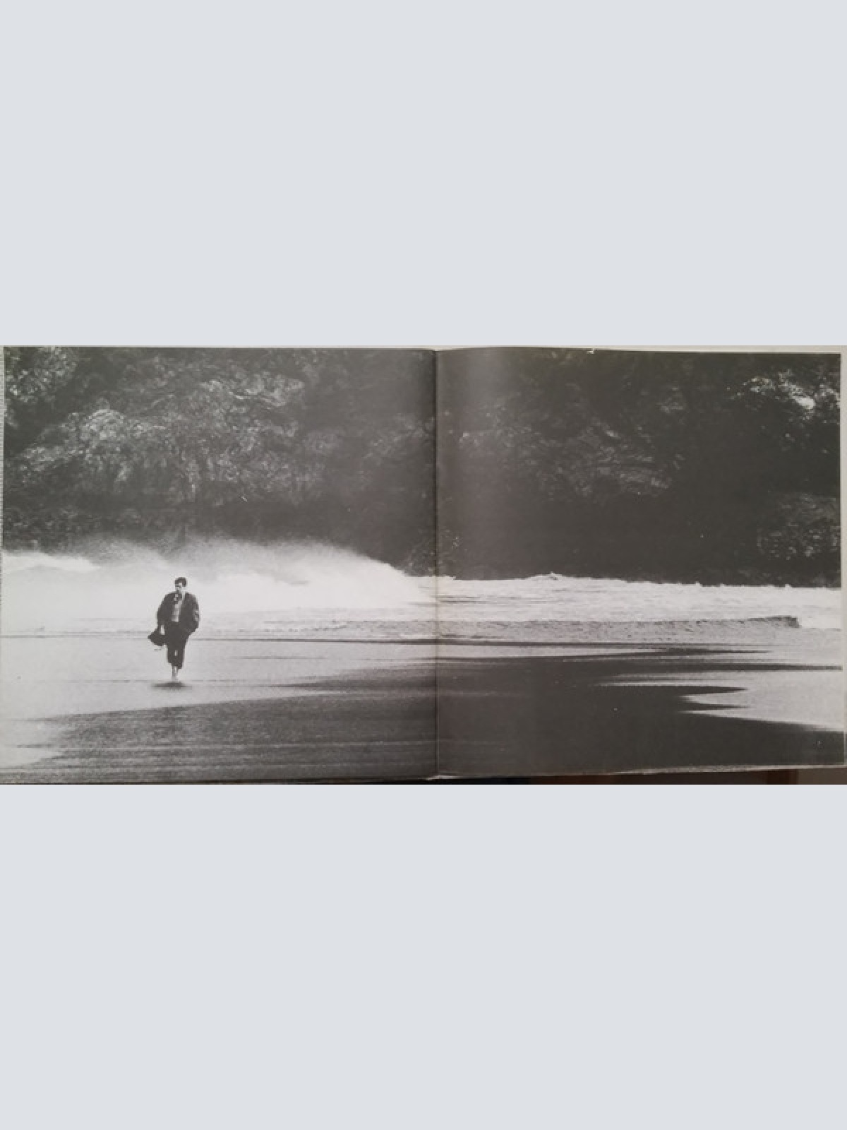 Vinyl / The Who - Quadrophenia