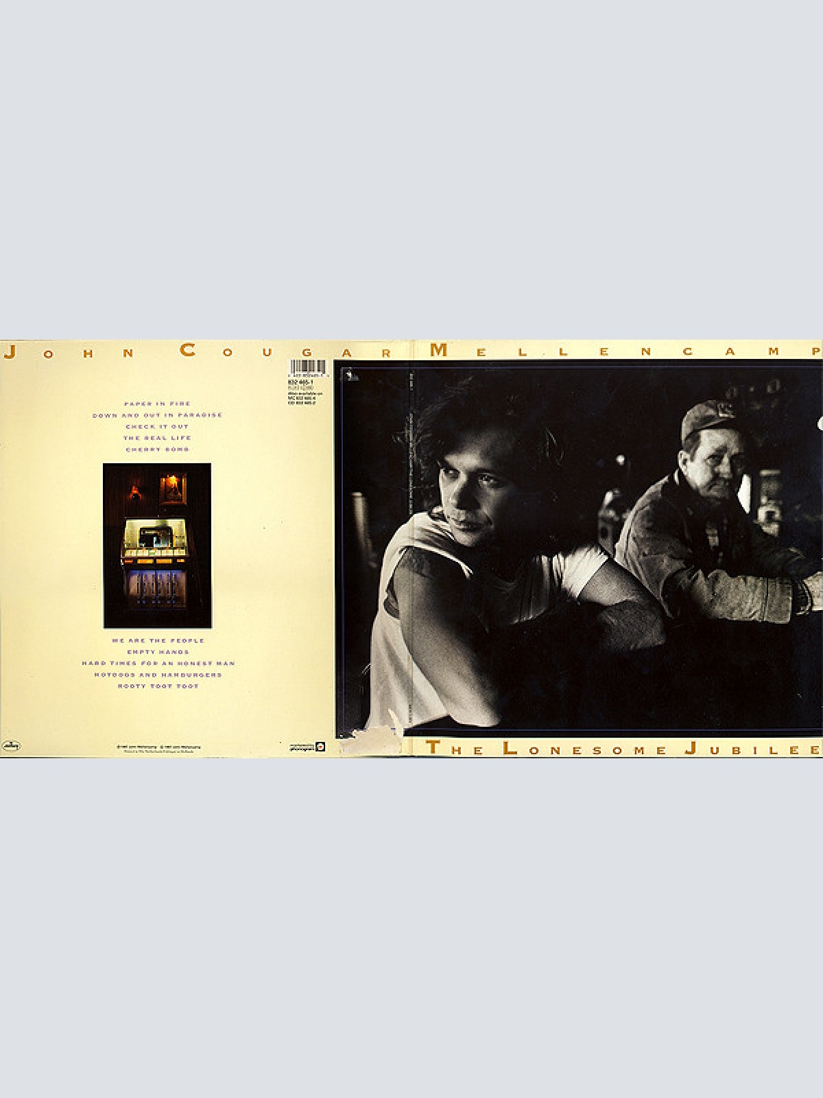 Vinyl / John Cougar Mellencamp - The Lonesome Jubilee