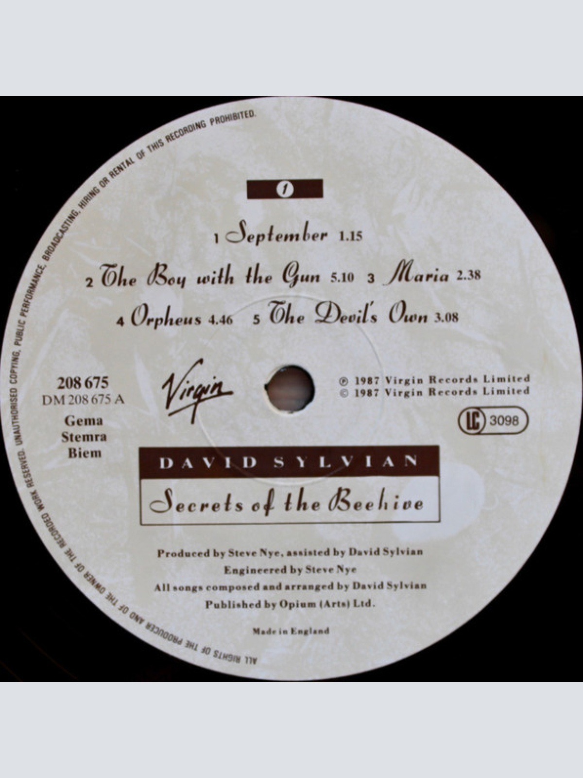 Vinyl / David Sylvian - Secrets Of The Beehive