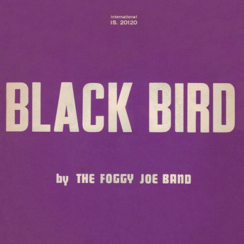 Vinyl / The Foggy Joe Band - Black Bird