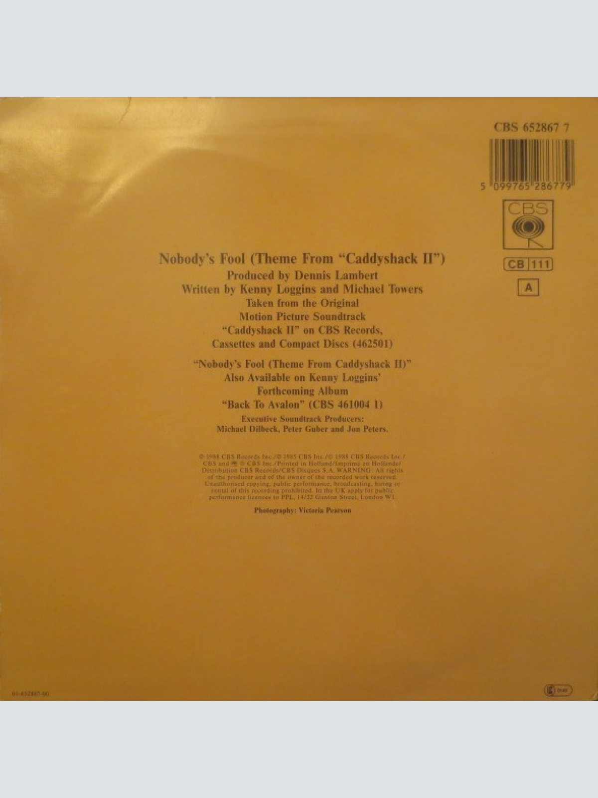 Vinyl / Kenny Loggins - Nobody's Fool (Theme From "Caddyshack II")