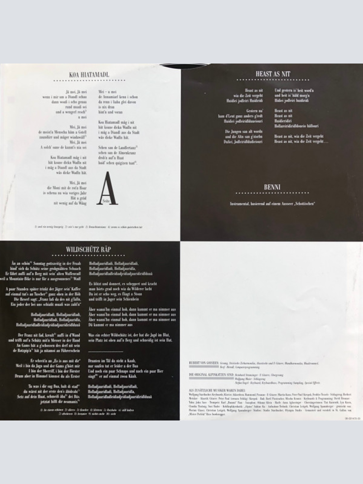 Vinyl / Hubert Von Goisern Und Die Original Alpinkatzen* - Aufgeigen Stått Niederschiassen