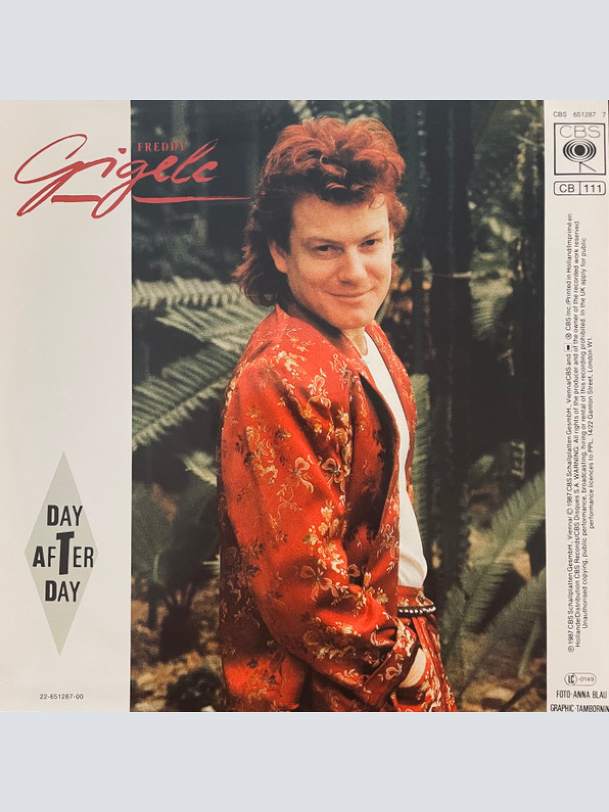 Vinyl / Freddy Gigele - Day After Day