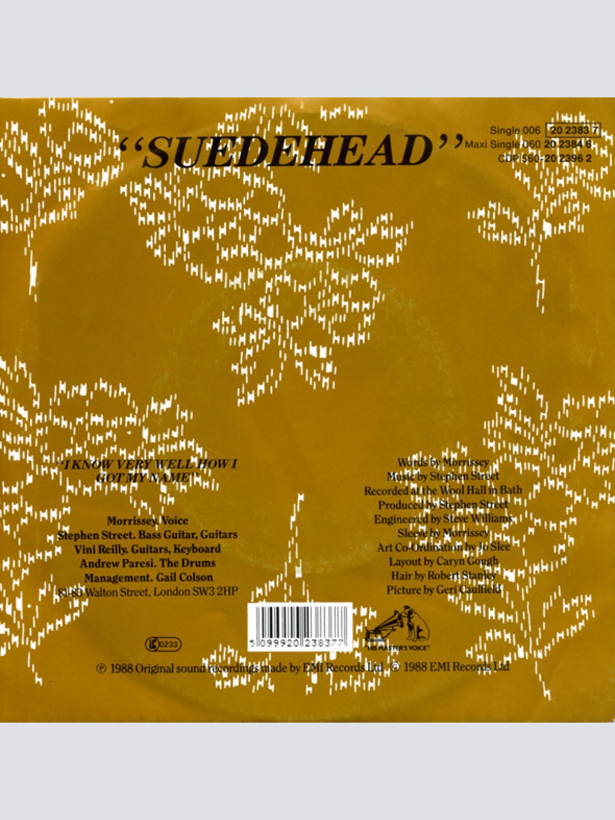 Vinyl / Morrissey - Suedehead