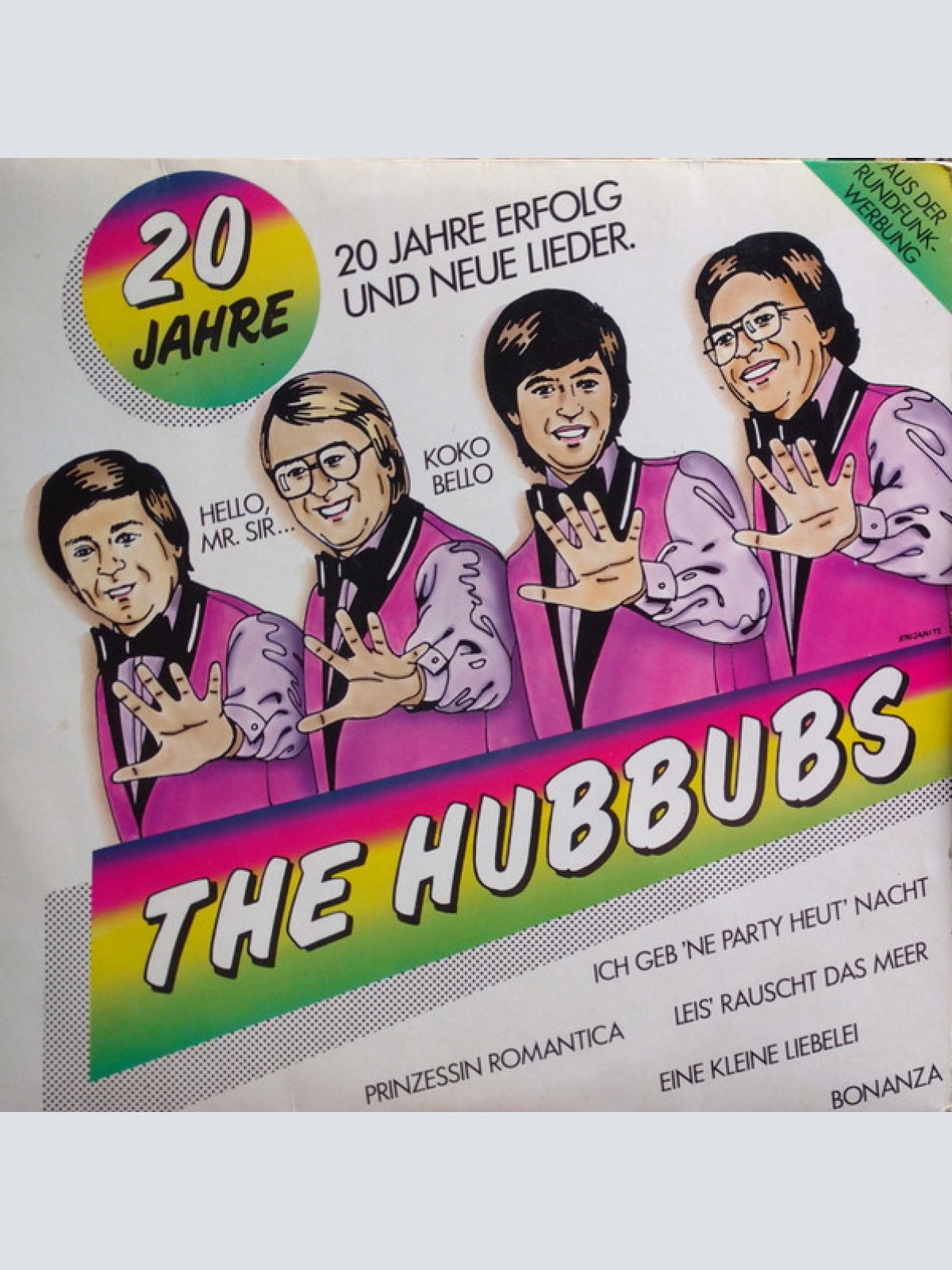 Vinyl / The Hubbubs - 20 Jahre Erfolg Und Neue Lieder