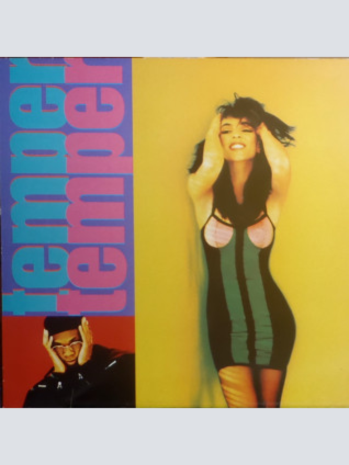 Vinyl / Temper Temper - Temper Temper