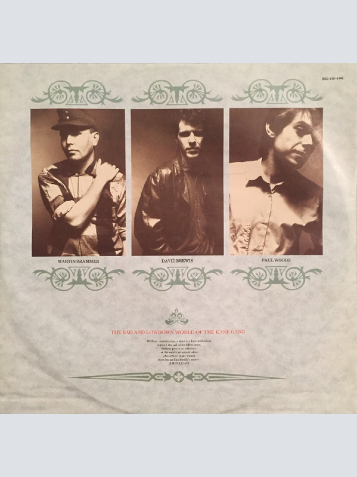 Vinyl / The Kane Gang - The Bad And Lowdown World Of