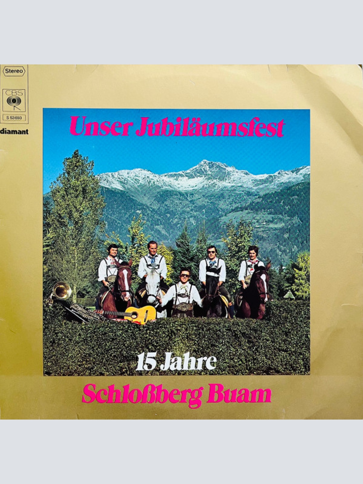 Vinyl / Schloßberg Buam* - Unser Jubiläumsfest - 15 Jahre