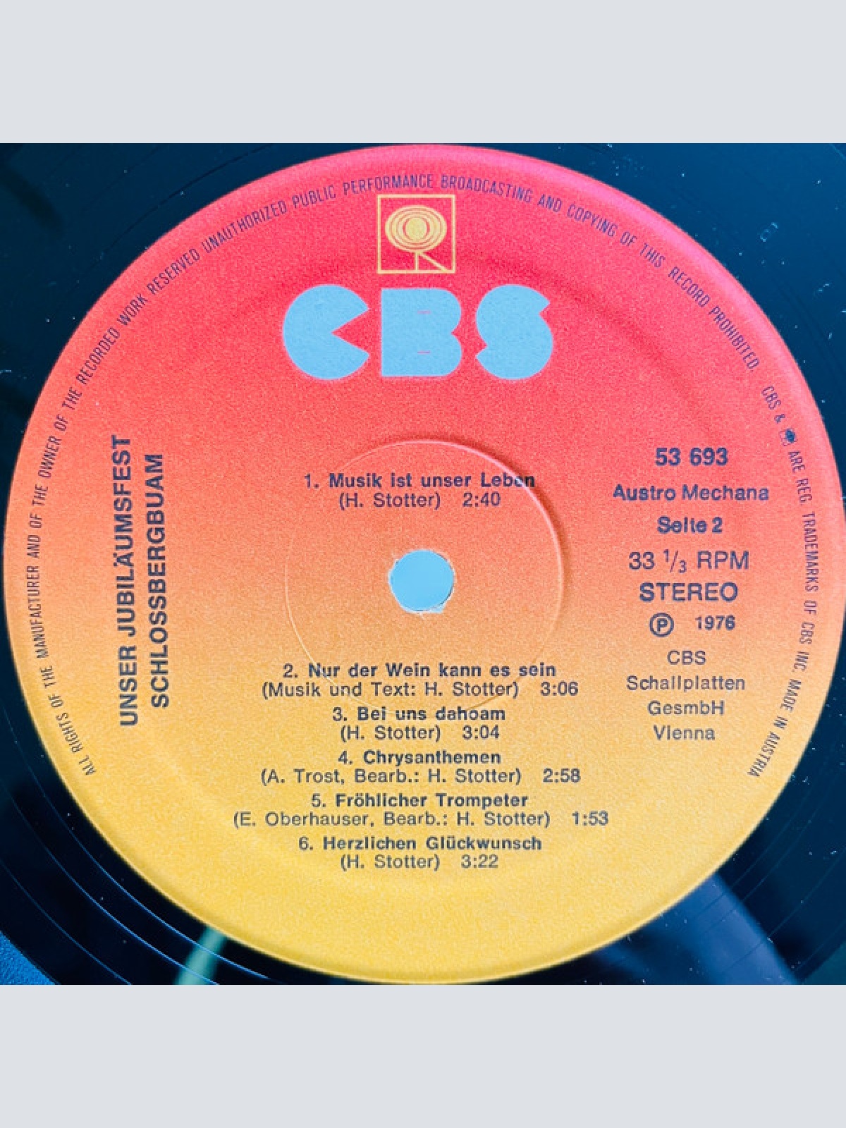 Vinyl / Schloßberg Buam* - Unser Jubiläumsfest - 15 Jahre