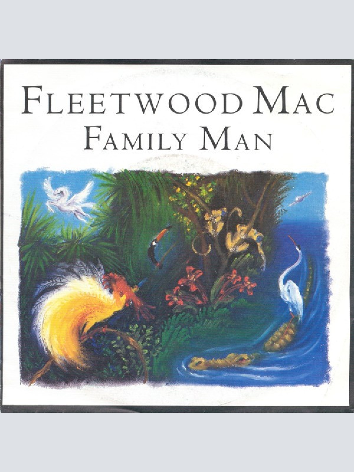 Vinyl / Fleetwood Mac - Family Man