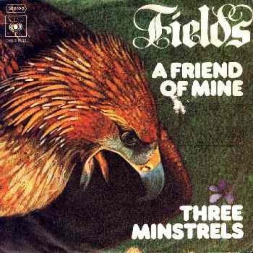 Vinyl / Fields (3) - A Friend Of Mine