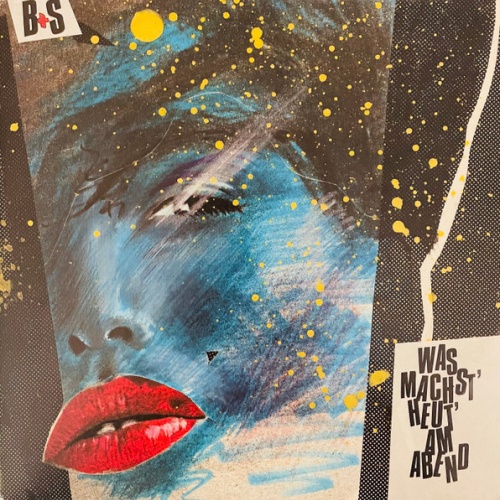 Vinyl / B+S - Was Machst´ Heut´ Am Abend