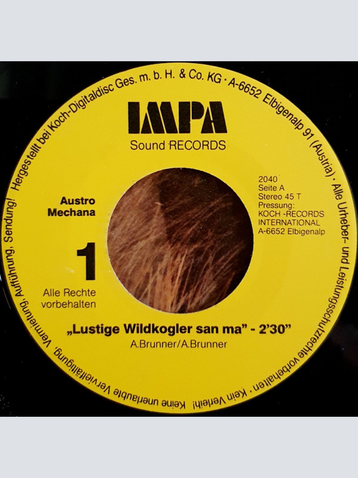 Vinyl / Orig. Lustige Wildkogler* - Lustige Wildkogler San Ma / Österreich - Lied
