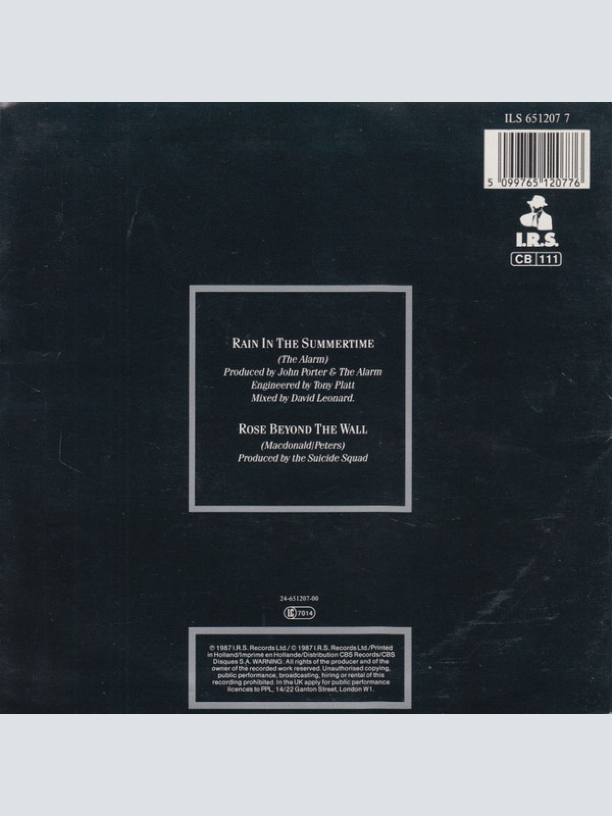 Vinyl / The Alarm - Rain In The Summertime