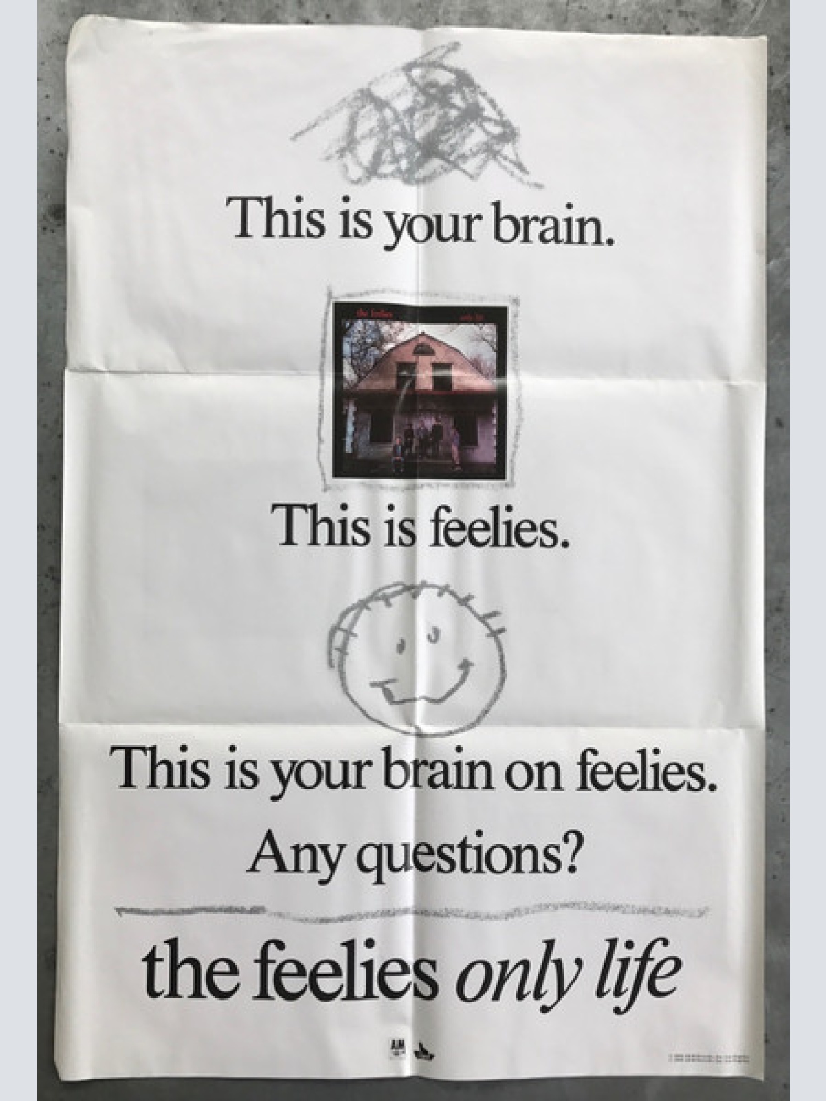 Vinyl / The Feelies - Higher Ground